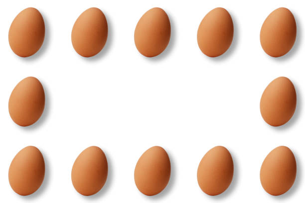 Overhead shot of brown egg frame on white background.