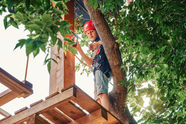 istock Boy standing on a wooden platform in a rope park 1419228447