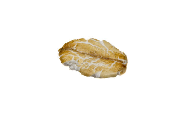 istock oatmeal macro photo, very close up. oat grain on a white background 1419230253
