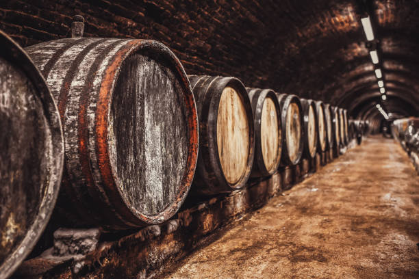 istock Wine barrels in wine-vaults in order 1419234440