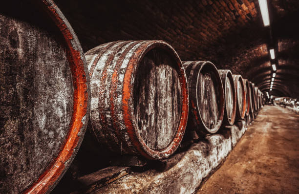 istock Wine barrels in wine-vaults in order 1419234459