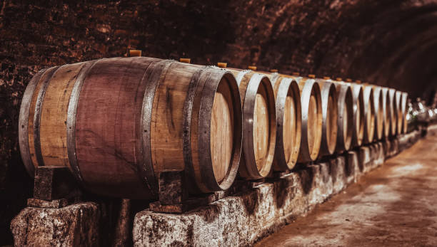 istock Wine barrels in wine-vaults in order 1419234463