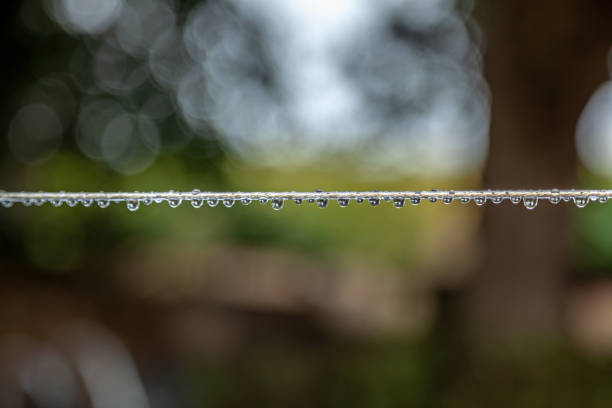 A clothesline after the rain in a garden, on a blurry bakground