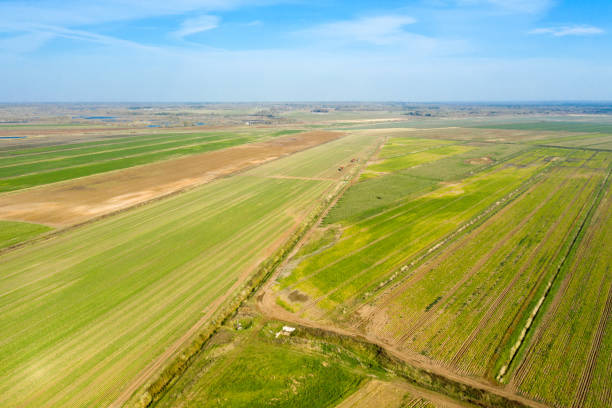 istock Top view of agricultural fields in autumn day 1419242297