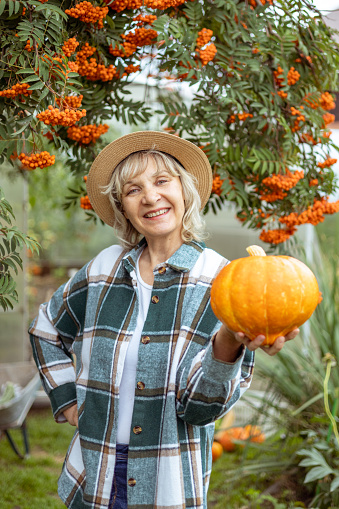 pumpkin. A woman farmer holds an autumn harvest in her hands.