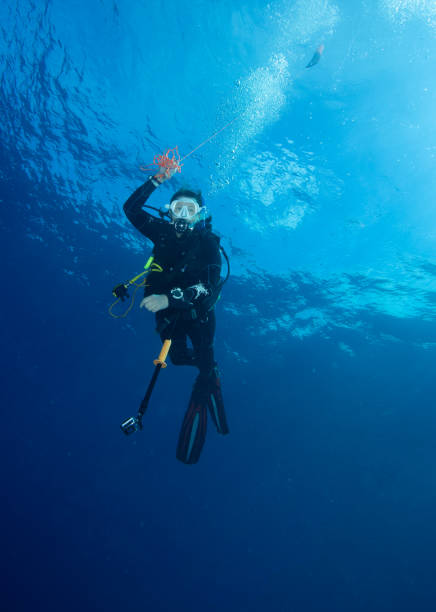istock Female Diver ascending with surface marker 1419246903