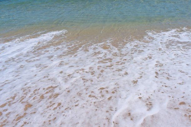 Beach waves coming over the sand.