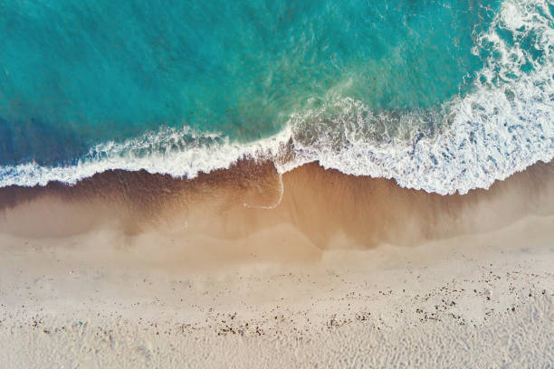 istock Coastline with blue sea waves and sand beach, top view 1419247716
