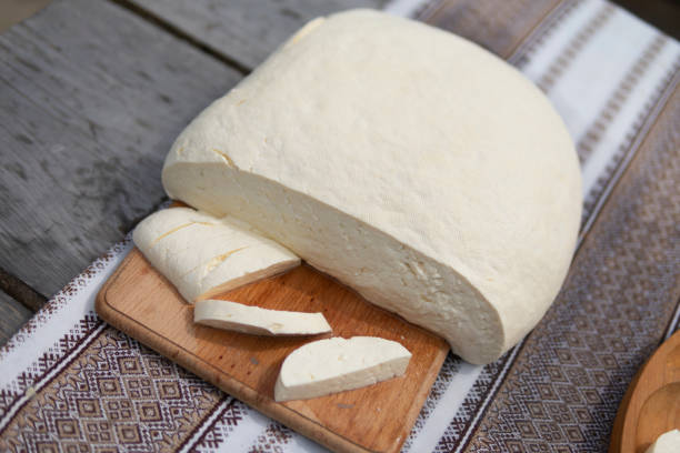 istock Ukrainian Carpathian Cottage Cheese 1419251308