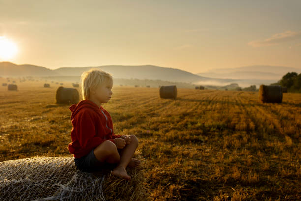 istock Sweet toddler child, boy, sitting on a haystack in field on sunrise 1419251672