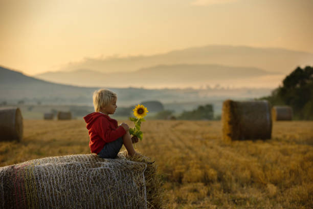 istock Sweet toddler child, boy, sitting on a haystack in field on sunrise 1419252031