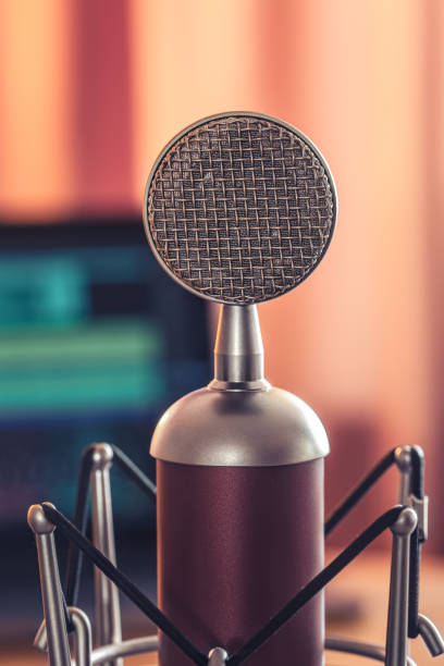 istock Professional microphone for sound recording, macro photography. 1419252216