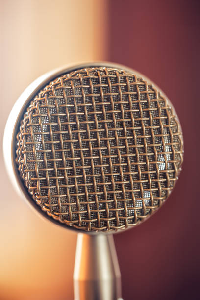 istock Professional microphone for sound recording, macro photography. 1419252223