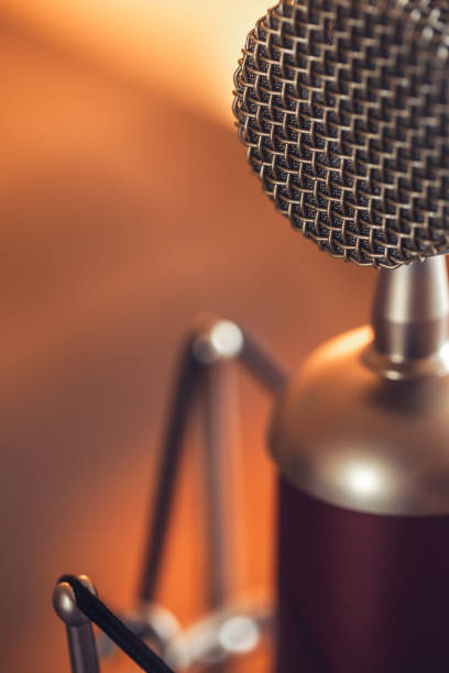 istock Professional microphone for sound recording, macro photography. 1419252231