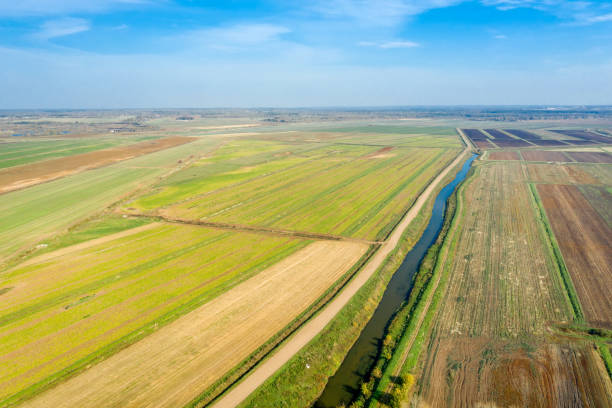 istock Top view of agricultural fields in autumn day 1419254090