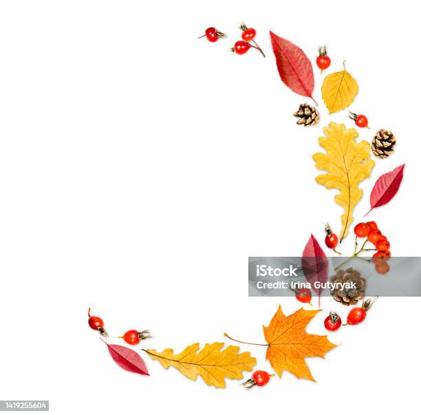 Autumn Composition On A White Background Stock Photo - Download Image Now - Autumn Leaf Color, Wreath, Cut Out