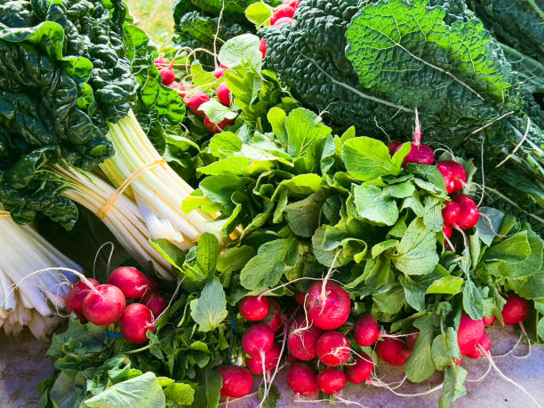 Farmer’s Market Silverbeet, Radishes and Kale stock photo