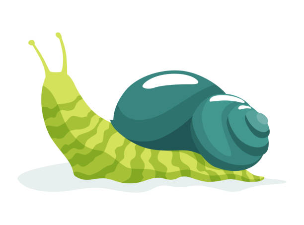istock Snail crawling. Snailfish colour shell. Colourful mollusk character isolated in cartoon style. Multicolored slug snail-shaped for kids design or speed snail-paced 1419268727
