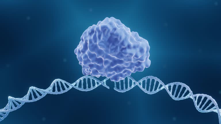 CRISPR, Endonuclease