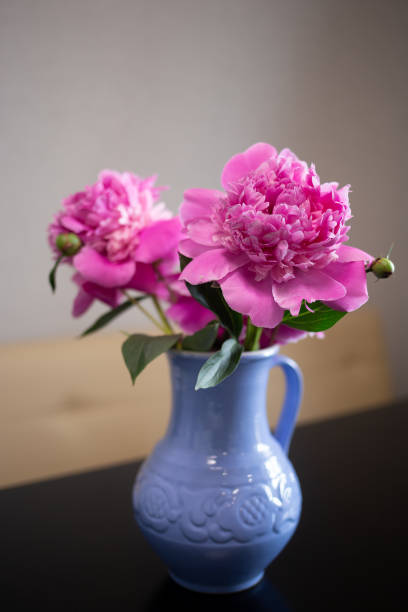 istock beautiful fresh pink peonies in a crock blue jug 1419270499