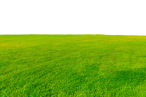 landscape of grass field and green lawn with blue sky nature background.Is a park, lawn for the exercise of the people in the city.