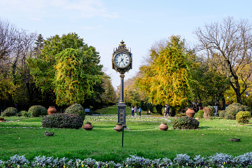 Bucharest, Romania, 6 November 2021: Large green trees, leaves, vintage clock and colored flowers in a sunny autumn day at the entry to Cismigiu Garden (Gradina Cismigiu)