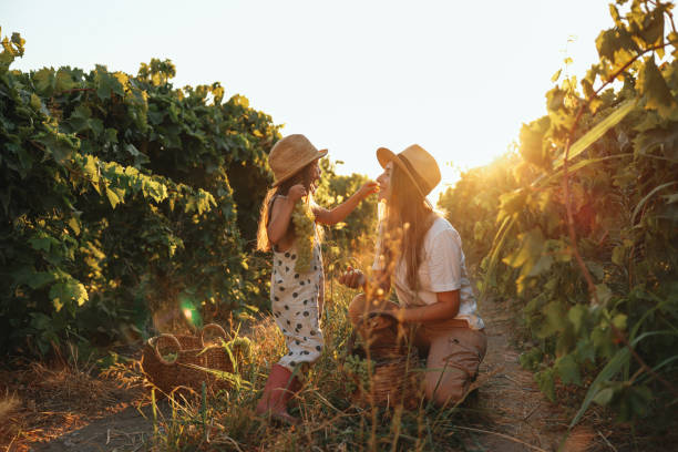 uwielbiam spędzać razem czas - family grape zdjęcia i obrazy z banku zdjęć