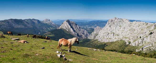 Wild horses pastouring at Urkiola Natural Park, Vizcaya  Province, Basque Country, Spain