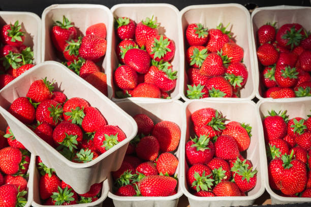 Strawberries displayed in pulp punnets at a produce stall in Borough Market in London Strawberries displayed in pulp punnets at a produce stall in Borough Market in London, England punnet strawberries stock pictures, royalty-free photos & images