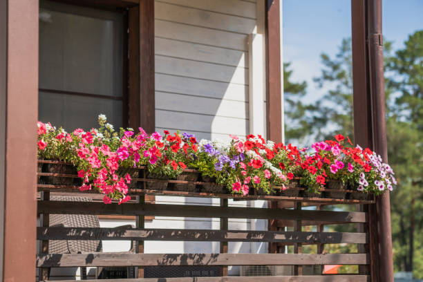 istock Cozy summer balcony garden 1419283158