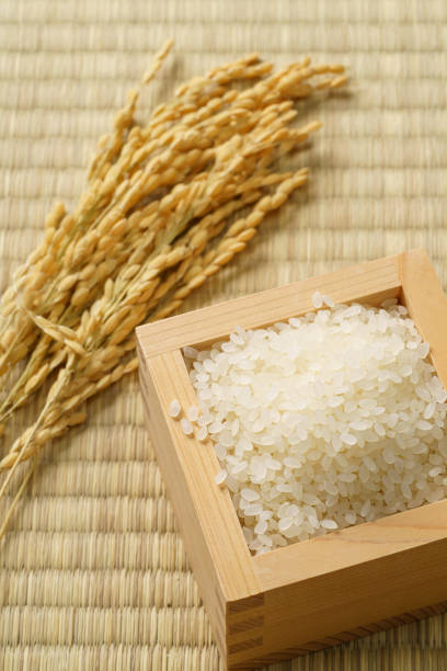 istock Japanese white rice on tatami mat 1419285345