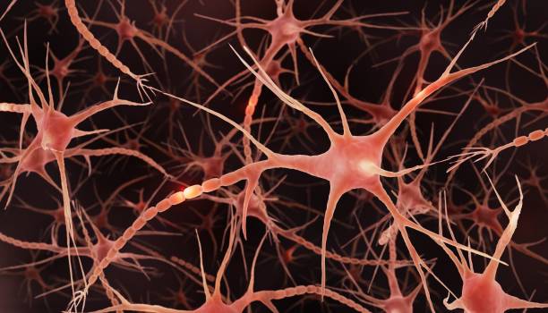 istock Firing Neurons, accurate 3d illustration 1419289290