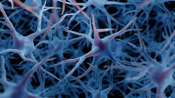 istock Brain cells, accurate illustration of neurons 1419289295