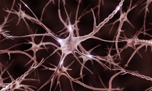 istock Firing neuron in the brain 1419289369