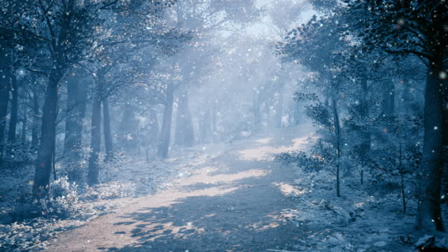 A fabulous winter forest and a path in it, on a frosty morning, illuminated by the rays of the morning sun