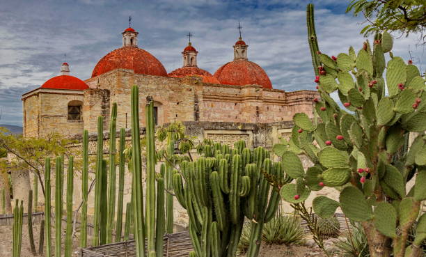 Church of San Pablo behind cactus in Mitla, Mexico stock photo