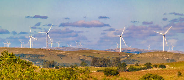 istock Windmillls at Countryside Landscape, Uruguay 1419298677