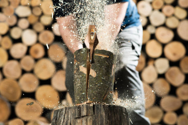 istock Hand and axe in firewood, 1419302161