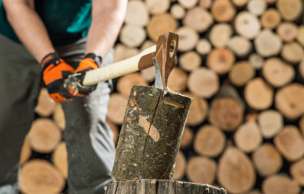 istock Hand and axe in firewood, 1419302162