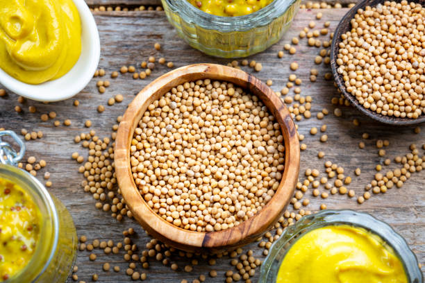 istock Different types of mustard and mustard seeds on a rustic wooden board 1419303174