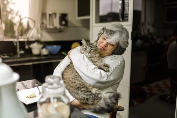 istock Gray haired woman holding a cat while sitting by the table in the kitchen 1419304168