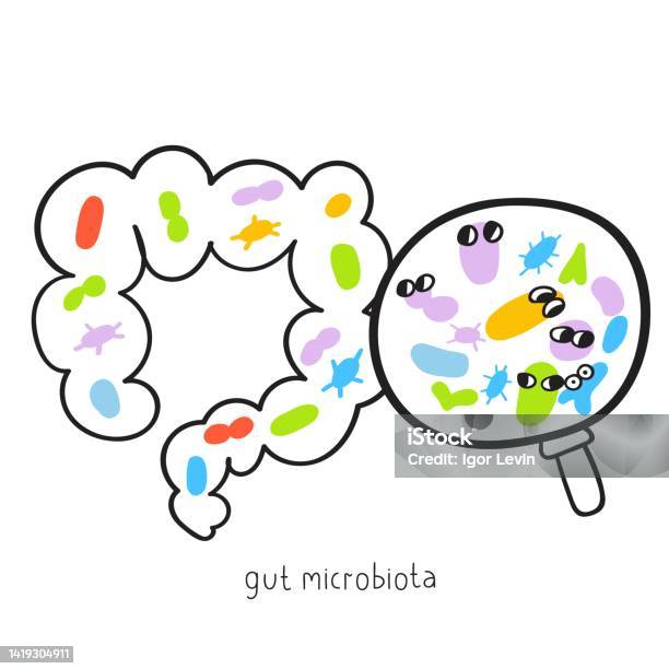 Flora Intestinala Healthy Intestinal Microflora Gut Microbiota Stock Illustration ...