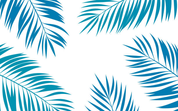 palmwedel tropischer abstrakter hintergrund - frame wallpaper pattern abstract sea stock-grafiken, -clipart, -cartoons und -symbole