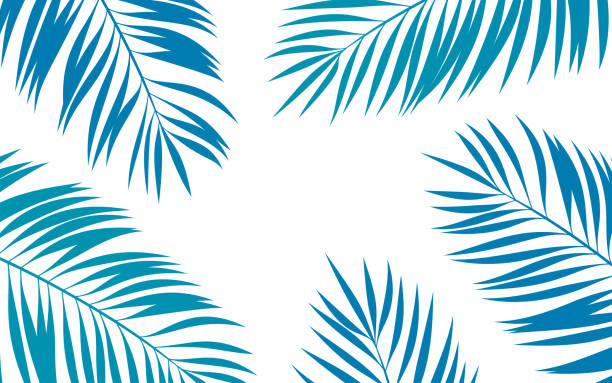 palm frond tropical abstrakcyjne tło - fern forest tree area vector stock illustrations