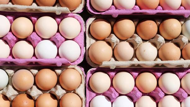 istock Open egg box with fresh organic colorful eggs in carton packs 1419307948
