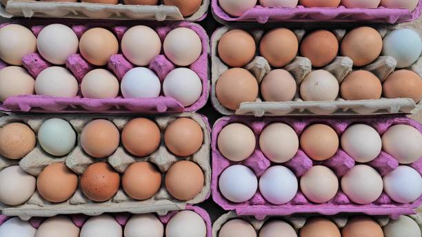 istock Open egg box with fresh organic colorful eggs in carton packs 1419308052