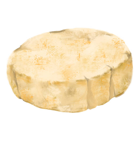 브리 치즈 휠 화이트 몰드 버터 유백색 맛 디지털 오일 페인팅 일러스트레이션 - milky cheese stock illustrations