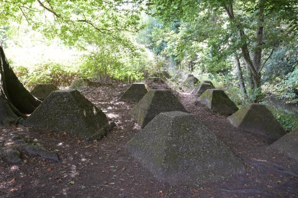 istock World War Two tank traps in Surrey, England. 1419312026