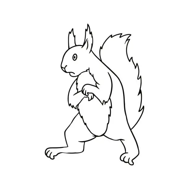 Vector illustration of Monochrome picture, fluffy frightened squirrel standing on its hind legs, vector cartoon