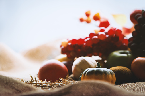 Church thanksgiving decoration and background with fruits and grains autumn berries background